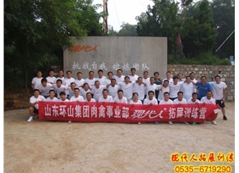 山东环山集团