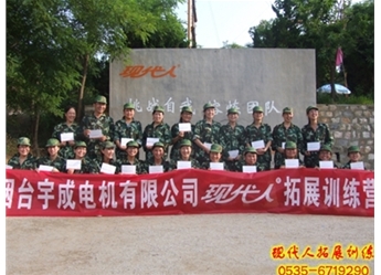 烟台宇成电机